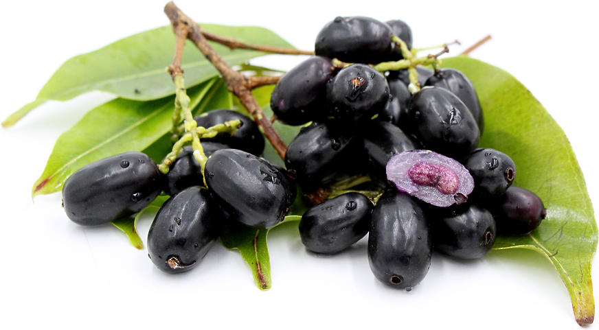 जामुन एक ऐसा वृक्ष जिसके अंग-अंग में औषधि है। Multi benefits of Jamun tree -