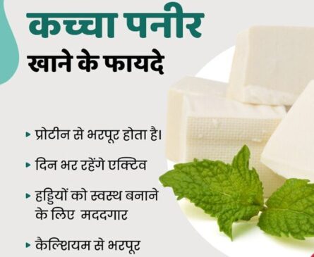 paneer
