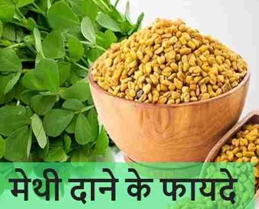 Fenugreek seeds