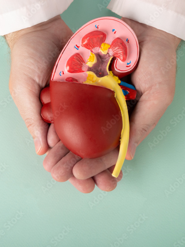 गुर्दे की पथरी निकालने के 10 घरेलू उपाय (10 Home Remedies for Kidney Stone in Hindi)