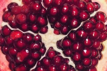 pomegranate-sonigram-closeup-red
