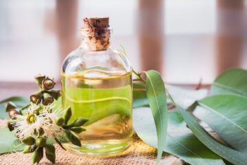 eucalyptus oil